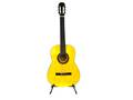 Akustisk gitarr, repig