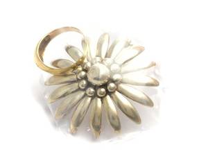 Parti silver skadat