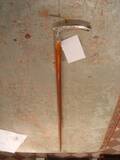 Käpp