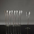 Champagneglas