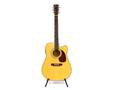 Akustisk Gitarr, Cort