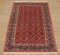 Kashmir Herati 170 x 240 cm