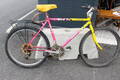 Mountainbike Giant