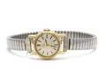 Omega Ladymatic, damur