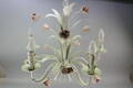 Taklampa D 50