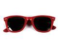 SOLGLASÖGON, RAY-BAN