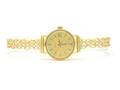 Zenith, damur 18K