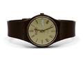SWATCH, GC100