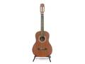 Akustisk gitarr, repig