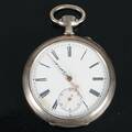 FICKUR i silver
