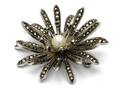 Brosch S925 15,8g