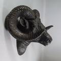 Widderkopf, Bronze, patiniert