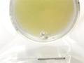 Diamant 1xca.0,28ct