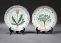 Royal CopenhagenKgl.P. Flora Danica. To tallerkener af porcelæn. 2