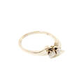 Syskonring 14 k vitguld med diamanter