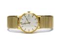 Certina herrur 18K