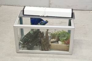 Akvarium