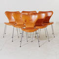 Sjuanstolar design Arne Jacobsen