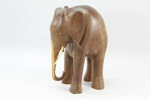 Elefant