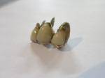 Tandguld 7g