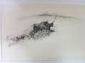 Eigil Thorell Kalhygget 240 gravyr  1986