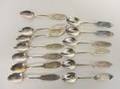 13 skedar i Silver