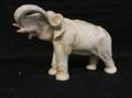 Elefant