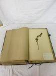Herbarium