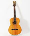 Akustisk gitarr, Aria