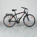 CYKEL hybrid Vermont 28 21vxl