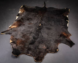 Koskind, 220 x 195 cm.