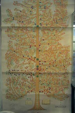 Stamträd, Saudi-Arabiskt 