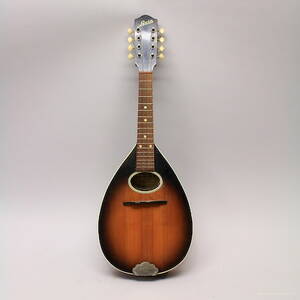 Mandolin