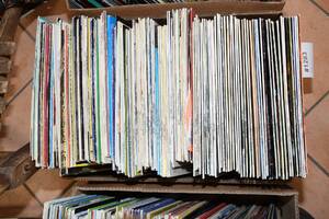 LP-skivor vinyl, parti