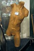 Herrtorso