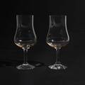 Elixir vinprovarglas