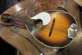 Mandolin