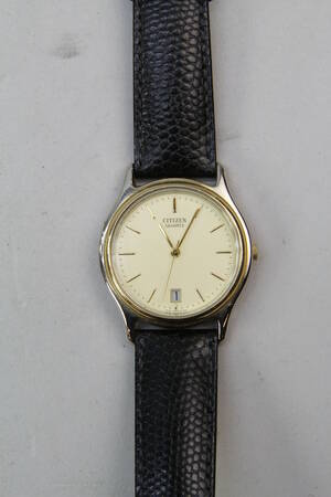 Citezen GN-4-s Quartz