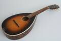 Mandolin, Levin