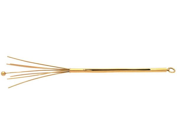 40565-champagnevisp-18k_600.jpg