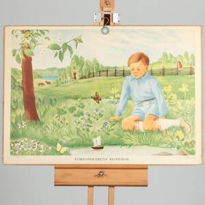 SKOLPLANSCH Försommarens blommor, 1900-talets första del