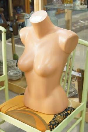 Torso