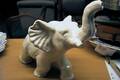 Elefant