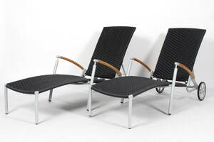 Daneline. Par solvogne. 2