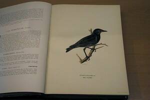 Fågelböcker, 3 volymer