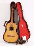 Akustisk gitarr, Levin, 1973