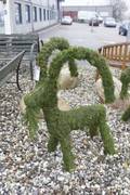 Julbock