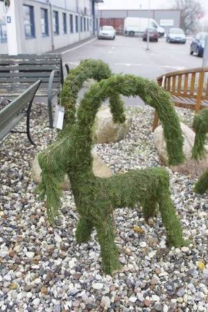 Julbock