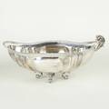 Terrin silver 