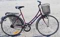DAMCYKEL. 